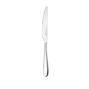 Charingworth Santol Mirror Steak Knife 24.5 cm