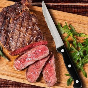 Tramontina Polypropylene Serrated Steak Knife 15cm/6″